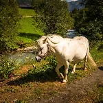 Voglbach, Bauernhof Lantgård Rauris