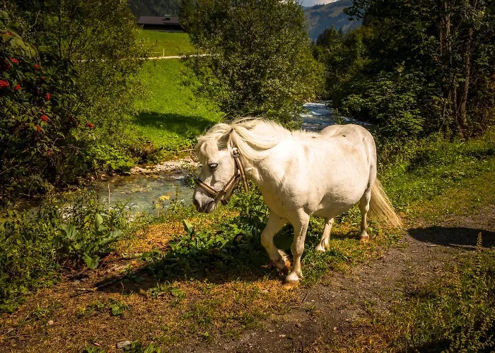 Voglbach, Bauernhof Farm stay Rauris