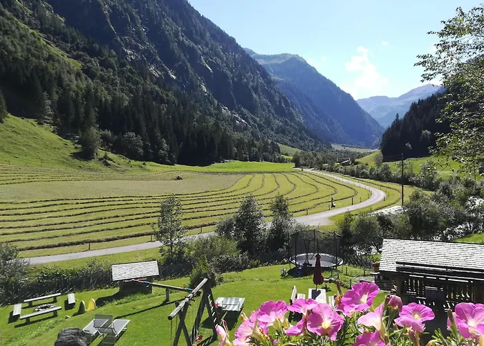 Farm stay Voglbach, Bauernhof