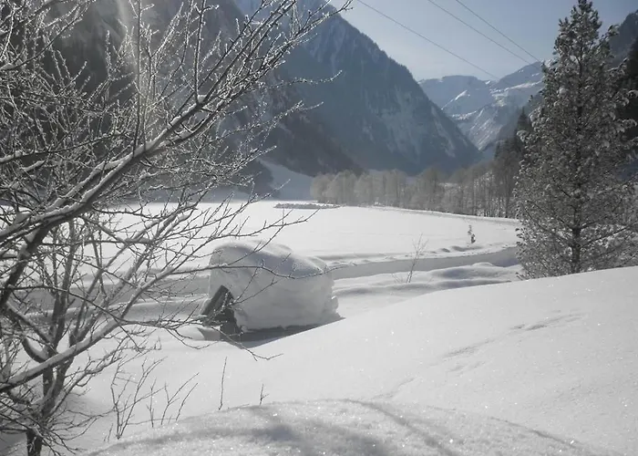 Feriegård Voglbach, Bauernhof