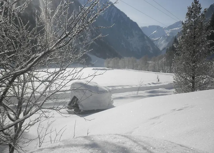 Feriegård Voglbach, Bauernhof